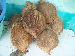 TIPS MENGHEMAT BBM (BAHAN BAKAR MINYAK) DENGAN AIR KELAPA 