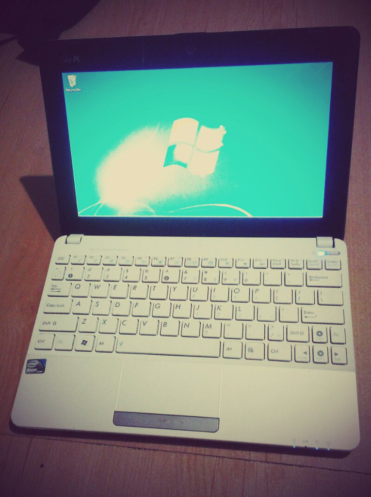 Netbook Asus Eee PC 1015PX White