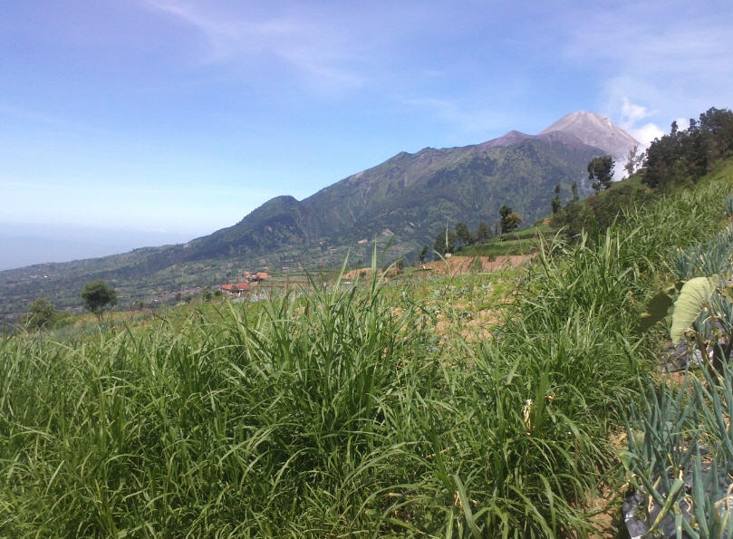 &#91;CATPER&#93; Keindahan yang terangkum diatas Puncak Merbabu 3142 Mdpl (28-31 Mei 2014) 