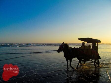 Kegiatan-kegiatan yang bisa dilakukan di Pantai