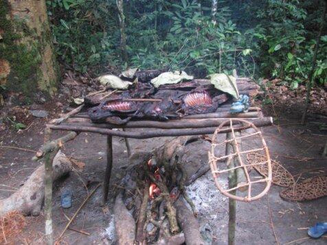 Gorila panggang, kuliner ekstrem ala Afrika