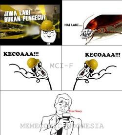 Fakta unik tentang KECOAA..