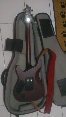 Jual cepet Shecter Jeffloomis made in Korea ORIGINAL berhollogram distributor