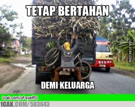 gift nya 2 buah meme nya yg banyak,silahkan masuk dijamin ngakak