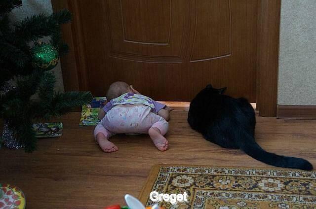 Lihat lagi gambar Lucu-lucu 11