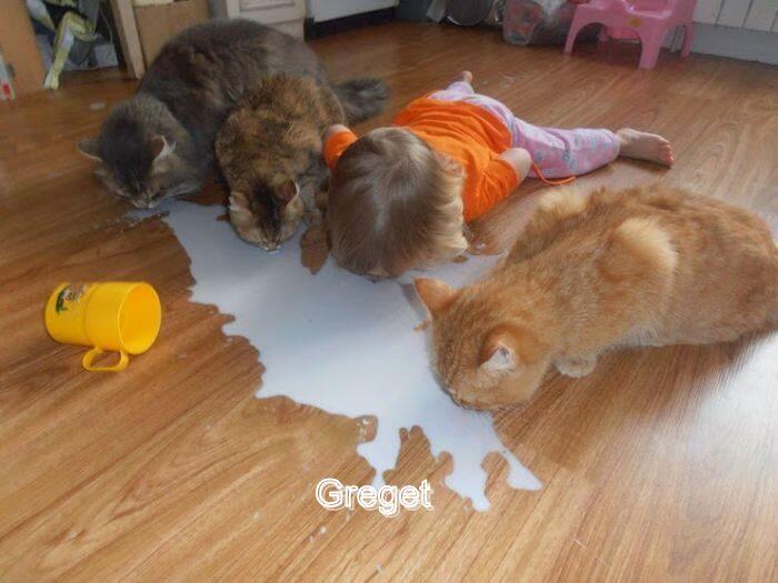 Lihat lagi gambar Lucu-lucu 11