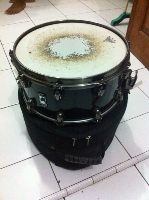snare drum mapex