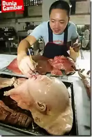 Daging Manusia Halal Untuk Di Makan Di Thailand Gan + PIC