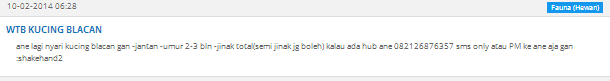 Surat terbuka untuk kaskus support 07