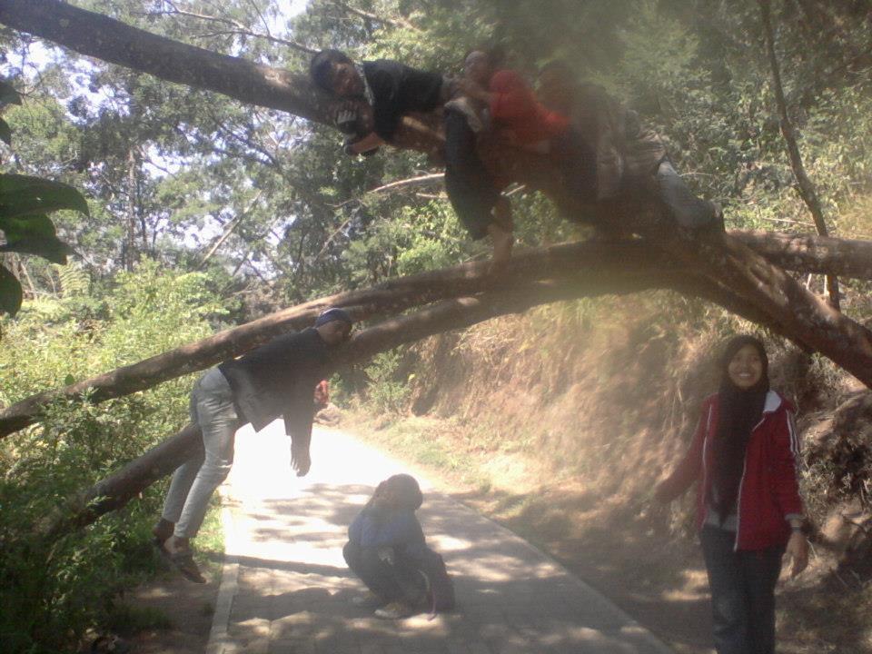 Penampakan