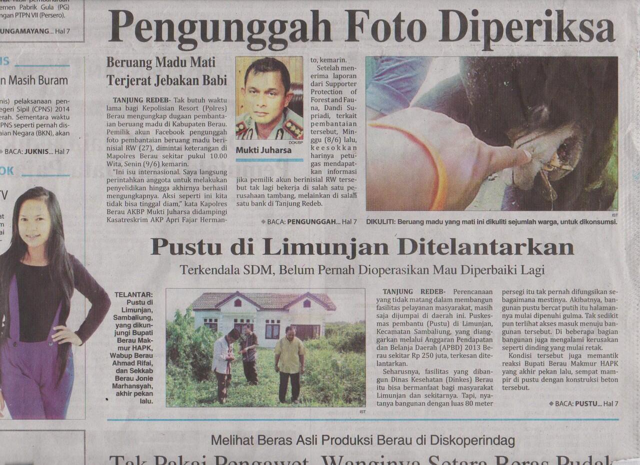 Pembunuhan Keji (Fauna Asli Kalimantan), Polisi Masuk!!