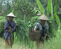 6 KEBIASAAN MASYARAKAT PEDESAAN YANG SULIT KITA TEMUKAN DI MASYARAKAT KOTA.