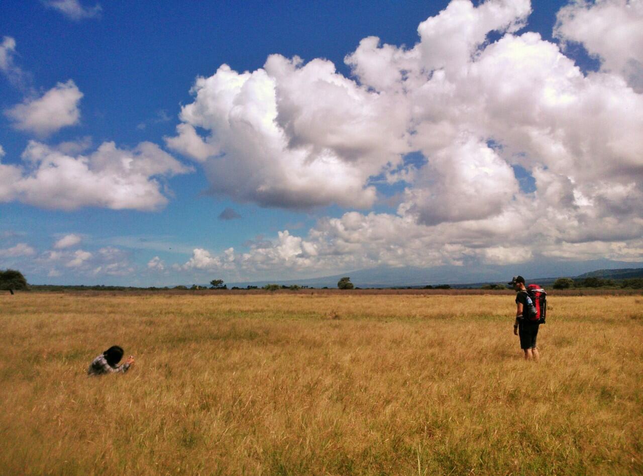 TRAVELING DAN INSTAGRAM