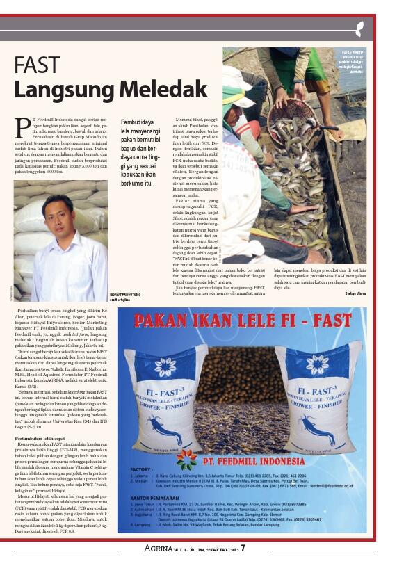 Pakan Ikan kualitas tinggi dan harga bersaing di Pontianak Kalimantan Barat