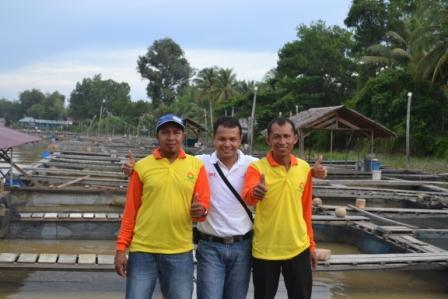 Pakan Ikan kualitas tinggi dan harga bersaing di Pontianak Kalimantan Barat