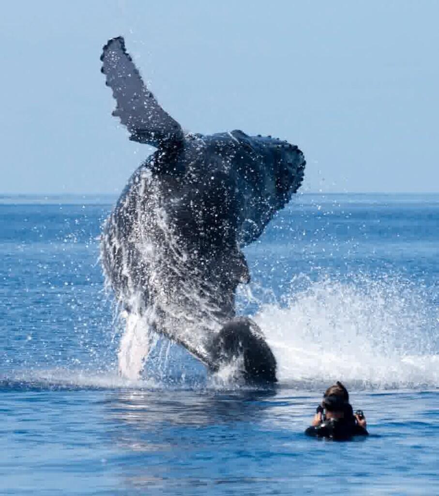 Behind The Scene of National Geographic (KEREN !!)