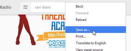 Tips Buat Agan Yang Mau Membaca Artikel Secara Offline