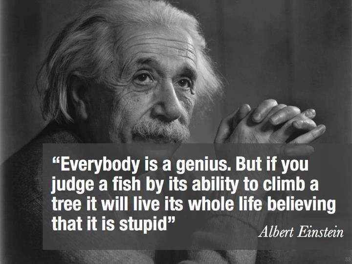 MOTIVASI DARI SEORANG ALBERT EINSTEIN &#91;PIC++&#93;