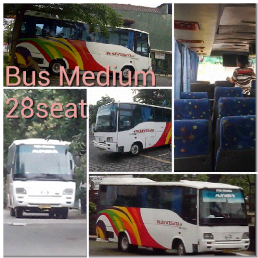 Bus Pariwisata 30seater