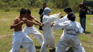 &#91;OFFICIAL THREAD&#93; PENCAK SILAT TENAGA DASAR INDONESIA (PSTD Indonesia)