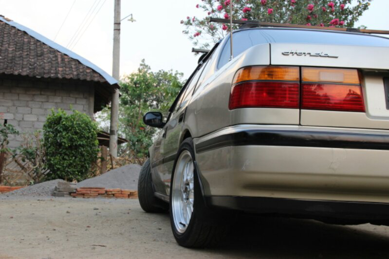 wts accord maestro 4ws