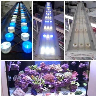  Lampu  LED  Aquarium  KASKUS