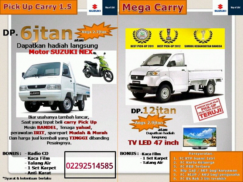 Carry Pick up rajanya mobil bak