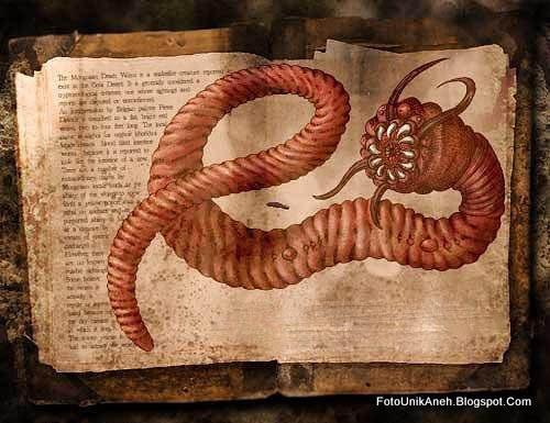 mahkluk misterius pembawa maut di gurun gobi &#91;serem gan&#93;