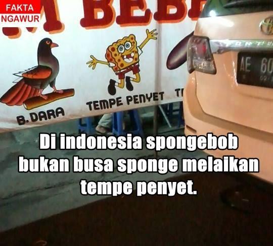 cuma disini spongebob jd tempe penyet