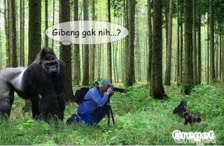 gambar lucu 12