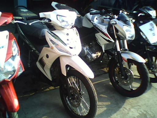 Freelance Marketing Yamaha Bandung