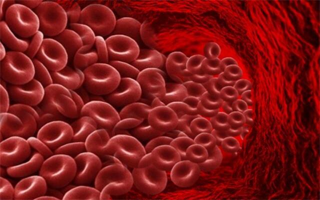 8 Manfaat Rutin Donor Darah