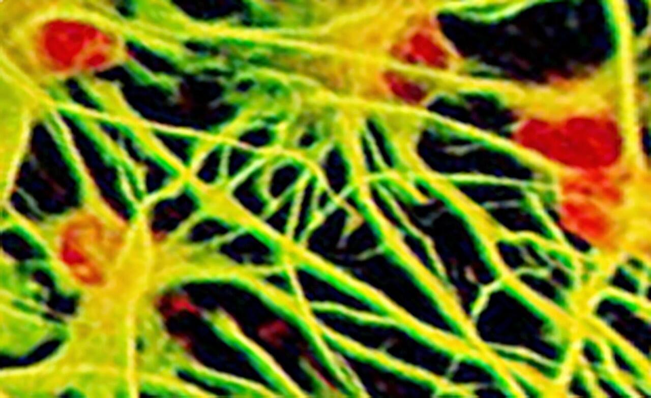 10 mitos aneh dan konyol tentang ilmu 