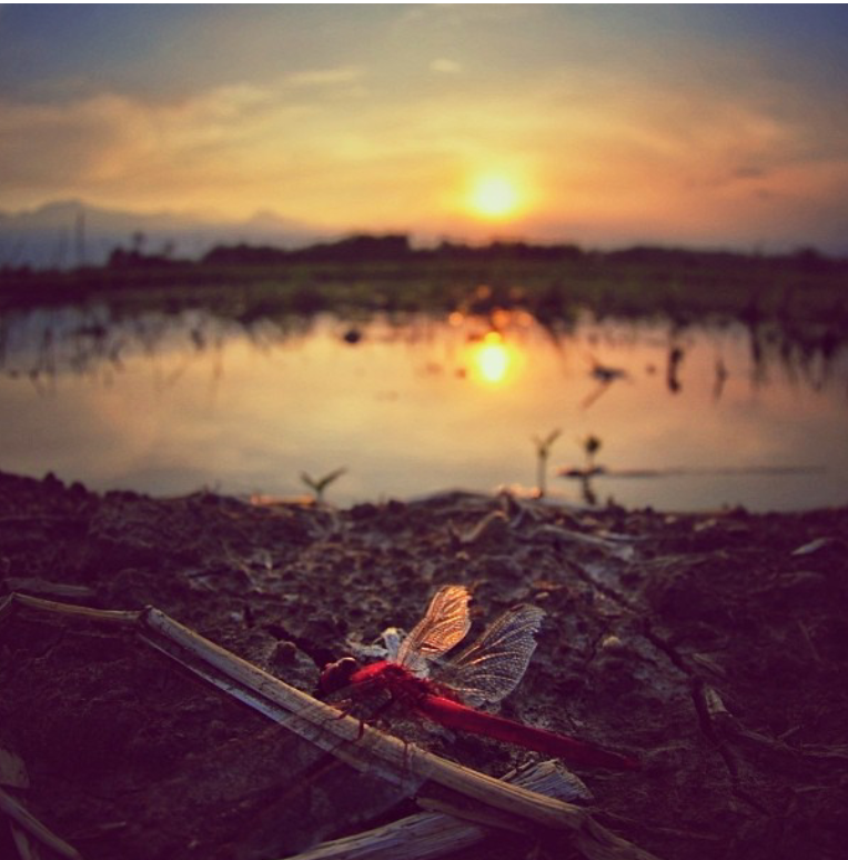 landscape &#91;pemandangan&#93; re-post from my old ID