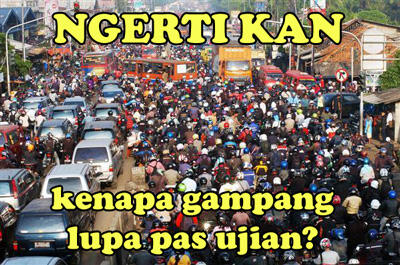 Kenapa kita bisa lupa? (berikut penjelasannya)