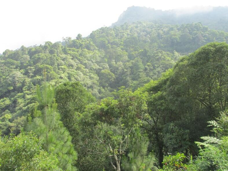 Wisata di Air Terjun Dolo