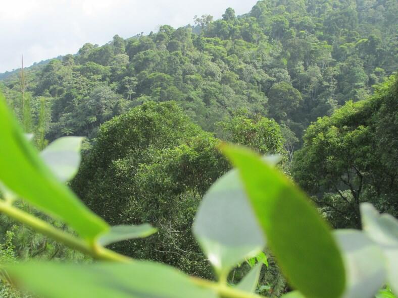 Wisata di Air Terjun Dolo