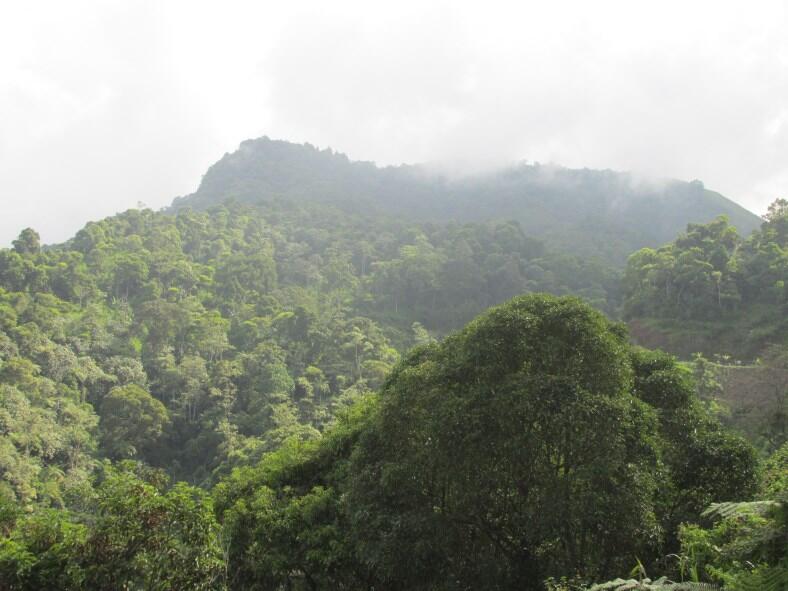 Wisata di Air Terjun Dolo