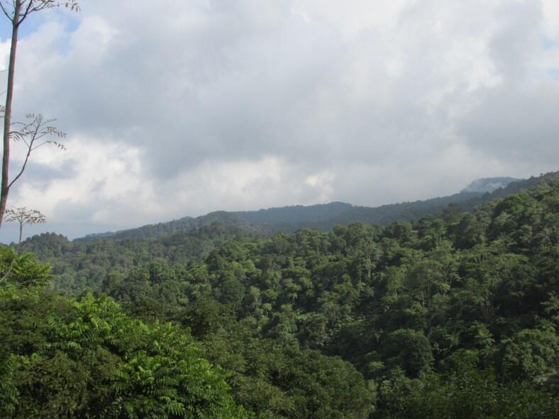 Wisata di Air Terjun Dolo