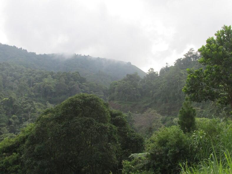 Wisata di Air Terjun Dolo