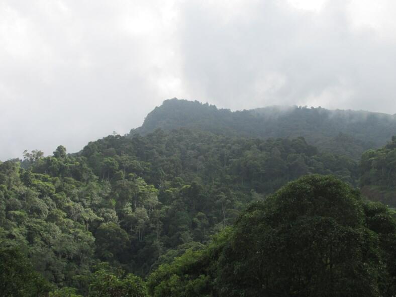 Wisata di Air Terjun Dolo