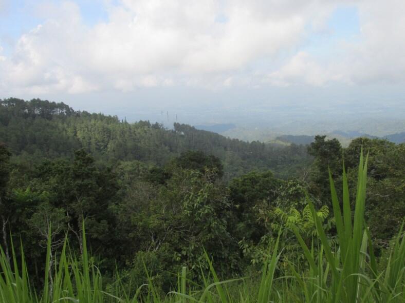 Wisata di Air Terjun Dolo