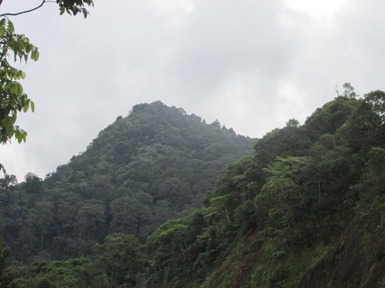 Wisata di Air Terjun Dolo