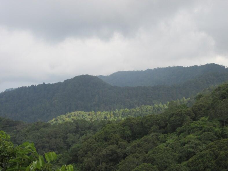 Wisata di Air Terjun Dolo