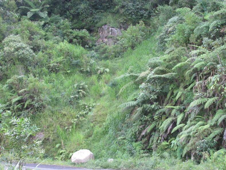 Wisata di Air Terjun Dolo