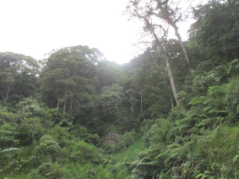 Wisata di Air Terjun Dolo