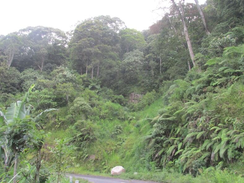 Wisata di Air Terjun Dolo