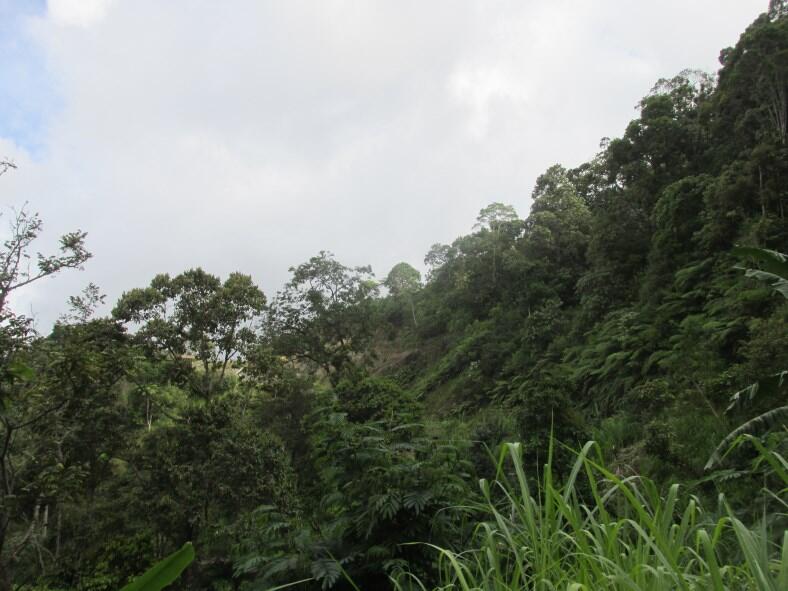 Wisata di Air Terjun Dolo