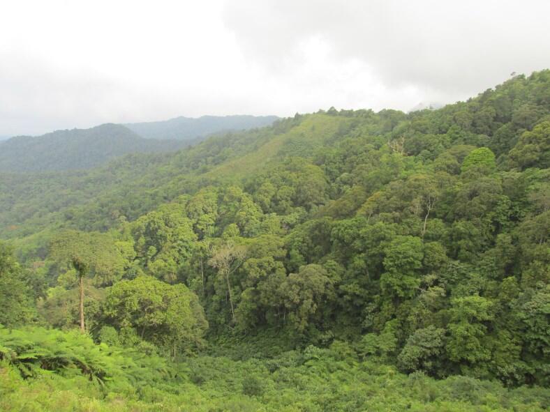 Wisata di Air Terjun Dolo