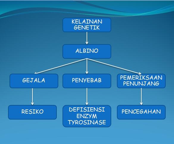 Mengenal Manusia Albino Lebih Dalam Serta Penyebabnya